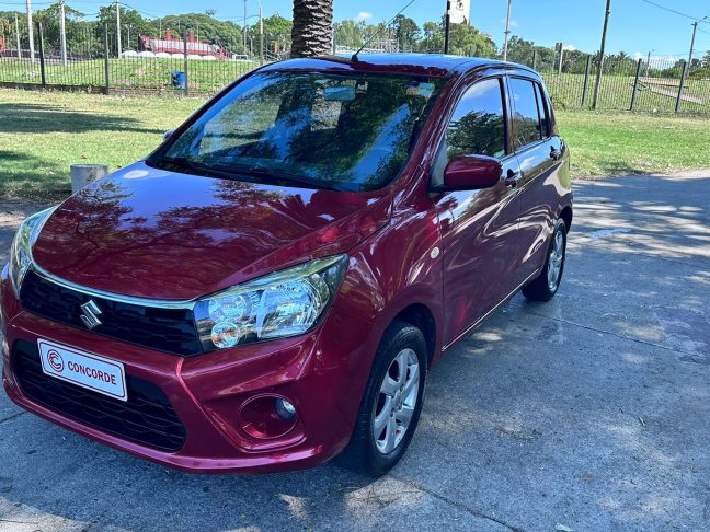 WhatsApp Image 2026-01-15 at 17.32.51 (3)